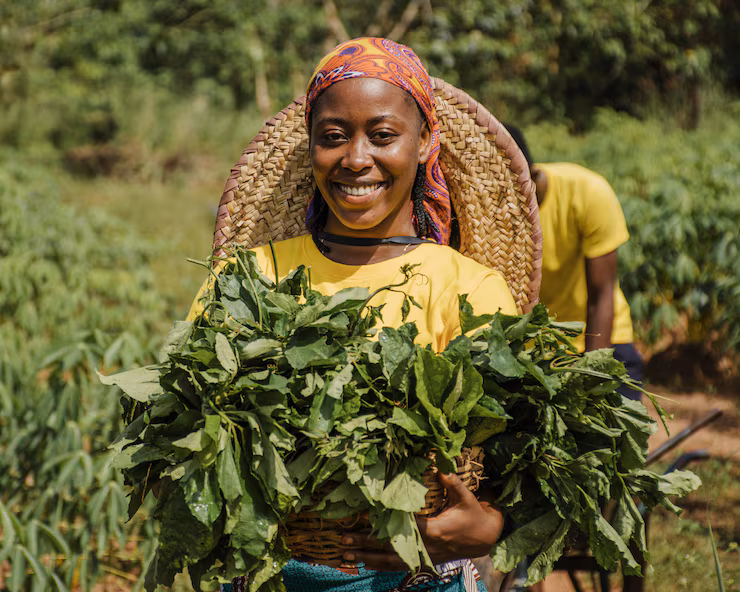 Ocaceent educational support image